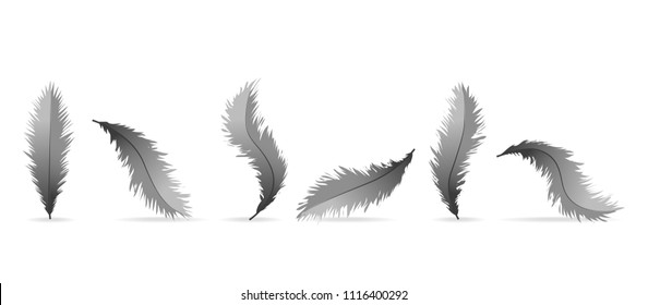 Realistic feather isolated on white background. Realistic feather collection for web site, wallpaper, poster, placard, cover and print materials. Creative art concept, vector illustration, eps 10