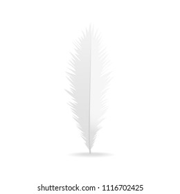 Realistic feather isolated on white background. Realistic feather for web site, wallpaper, poster, placard, cover and print materials. Creative art concept, vector illustration, eps 10