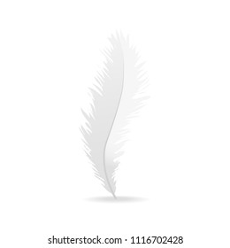 Realistic feather isolated on white background. Realistic feather for web site, wallpaper, poster, placard, cover and print materials. Creative art concept, vector illustration, eps 10
