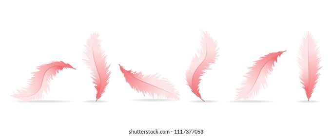 Realistic feather set isolated on white background. Realistic feather collection for web site, wallpaper, poster, placard, cover and print materials. Creative art concept, vector illustration, eps 10