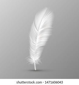 Realistic feather. Single white soft bird wings smooth fluff on transparent background vector lightweight fluffy hen macro falling image