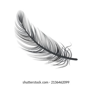 Realistic feather white background composition with isolated image of bird feather vector illustration