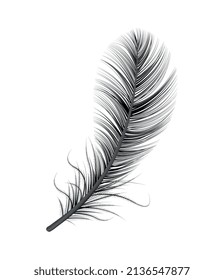 Realistic feather white background composition with isolated image of bird feather vector illustration