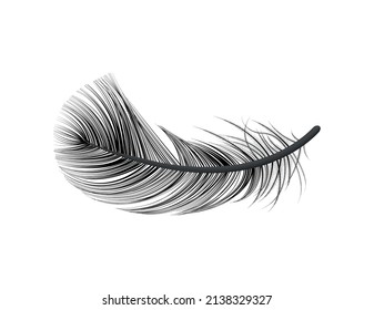 Realistic feather white background composition with isolated image of bird feather vector illustration