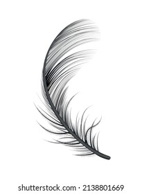 Realistic feather white background composition with isolated image of bird feather vector illustration