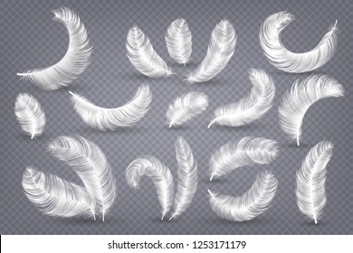 Realistic feathers. Fluffy white goose and swan feather, weightless plume isolated vector set