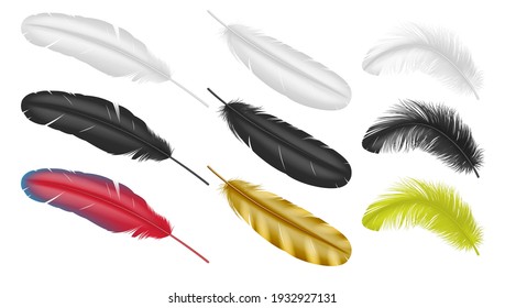 Realistic feathers: goose, hen or swan plumage in 3d style white black and colorful isolated on white background. Vector illustration