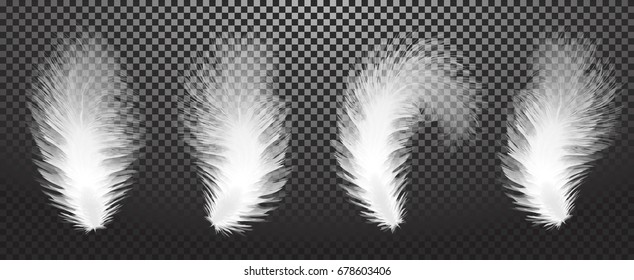 Realistic feathers isolated on a transparent background. Easy style, can be used in flyers, banners, web. Light cute feathers design. Elements for design. Vector illustration. EPS 10.