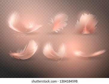 Realistic feathers. Orange bird falling feather isolated on transparent background vector collection. Illustration of feather bird, soft orange plume. Vector illustration. 