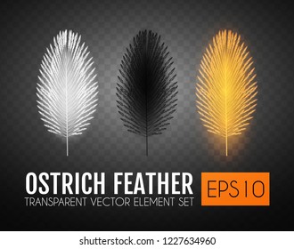 Realistic Feathers Set. Elegant Isolated Ostrich Feather Collection on Transparent Background. Vector illustration