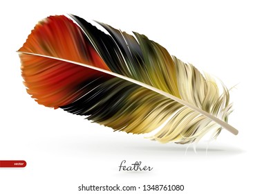 Realistic feathers - vector illustration. Isolated on white background. Eps10.