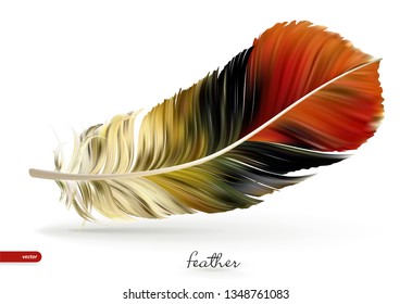 Realistic feathers - vector illustration. Isolated on white background. Eps10.