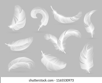 Realistic feathers. White bird falling feather isolated on white background vector collection. Illustration of feather bird, soft white plume