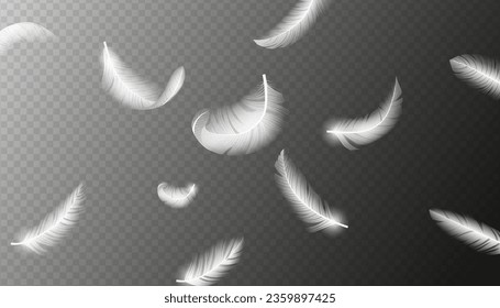 plumas realistas. El pájaro blanco cae aislado de plumas. Ilustración vectorial 3d realista de las plumas de paloma en caída o elegante telón de fondo de columna suave