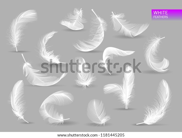 Realistic feathers. White bird falling feather\
isolated on white background vector collection. Illustration of\
feather bird, soft white\
plume