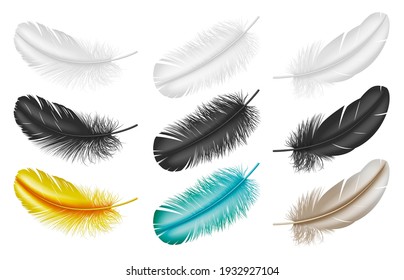 Realistic feathers: white, black and colorful 3d plumes from bird wings isolated on white background. Creative plumage for design. Vector illustration