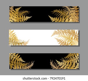 Realistic fern frond twigs frames set vector. Polypodiophyta plant bush leaves background decor.  Detailed bracken fern illustration, tropical forest grass herbs growing card border.