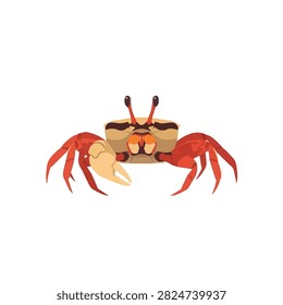 Realistic Fiddler Crab Vector Illustration with Large Major Claw Isolated on White Background
