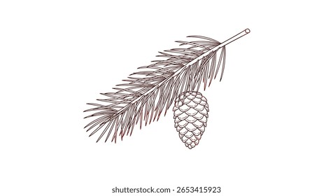 Realistic fir branch with pine cones winter nature forest evergreen tree decoration holiday