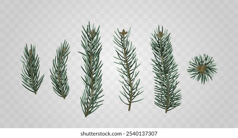 Realistic Fir Branch Set Ideal For Seasonal Design Projects And Holiday Decorations, Providing Natural And Festive Touch