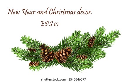 Realistic fir tree branches, red berries, holly.Winter holiday. Christmas decoration: holly, pine with cones and berries