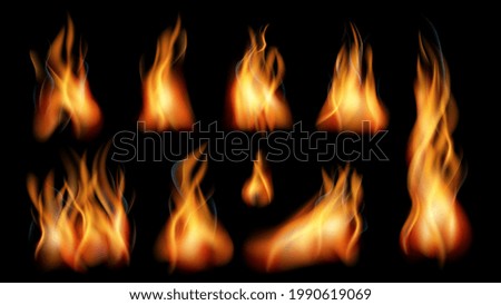 Similar – Image, Stock Photo Flames of fire in charcoal with firewood