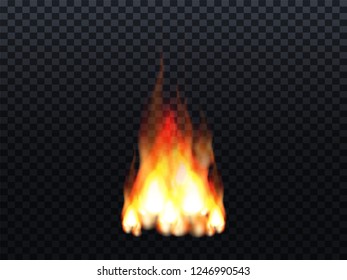 Realistic fire or flame effect on transparent background. Vector