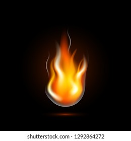 Realistic fire flame isolated on black background. Flame burn icon. Vector Illustration