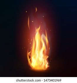 Realistic fire flame on dark background. Isolated vector illustration