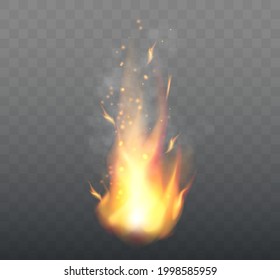 Realistic Fire Flames isolated on transparent background. Vector illustration.