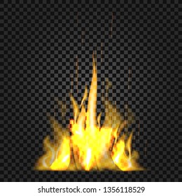 Realistic fire flames on black background