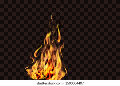 Realistic fire flames. Vector stock.