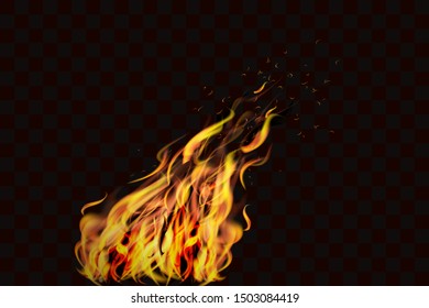 Realistic fire flames. Vector stock.