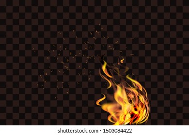 Realistic fire flames. Vector stock.