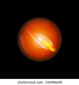 Realistic fire inside glass sphere.Black background.Vector illustration.