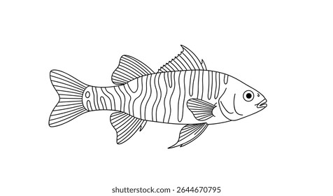 Realistic fish vector illustration hand drawn style with striped pattern isolated on white