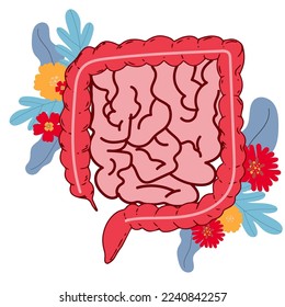 Realistic flat vector illustration of small and large intestine. Human internal organ, digestive tract. Vector illustration isolated on white background.