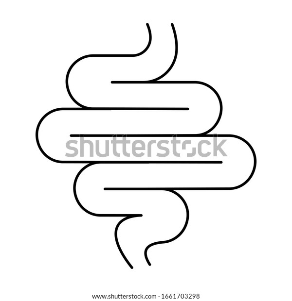 小腸と大腸のリアルな平らなベクターイラスト 人間の内臓 消化管 白い背景にベクターイラスト 腸の線形アイコン のベクター画像素材 ロイヤリティフリー