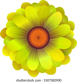 Realistic floral design. Vector background.