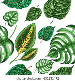 Realistic floral exotic seamless pattern with tropical natural green plants leaves on white background vector illustration
