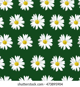 Realistic floral seamless pattern with daisy flowers. Stock vector illustration. Polygon style. Perfect for cover, card, wall paper, fabric and interior design