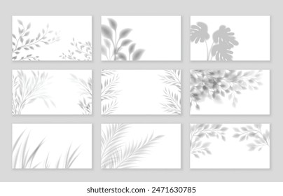 Realistic floral shadows. Botanical gobo light overlays, blurred plant shadows with tropical leaves, branches and foliage vector set.