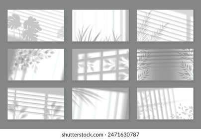 Realistic floral wall shadow. Botanical gobo overlays with foliage shadows cast through window blinds vector backgrounds set.