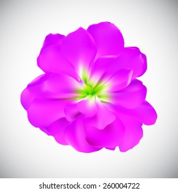 Realistic Flower High Quality Vector Illustration EPS10