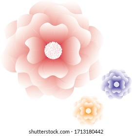 Realistic flower illustration. Vector set
