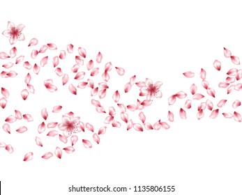 Realistic flower petals flying vector background. Spring blossom elements, cherry, peach or apple bloom petals falling windy vector design.