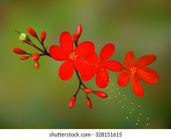 A realistic flower vector illustration. Saved in eps 10 with 2 transparent objects, gradient mesh is used. Well constructed for easy editing.