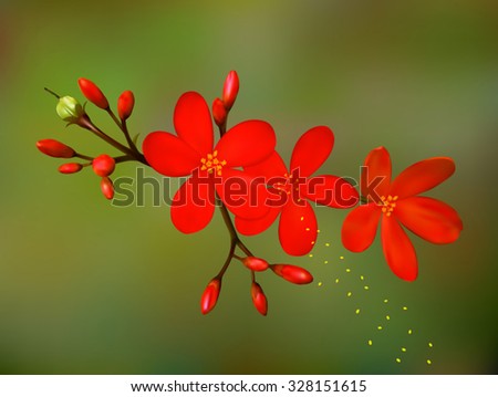 A realistic flower vector illustration. Saved in eps 10 with 2 transparent objects, gradient mesh is used. Well constructed for easy editing.
