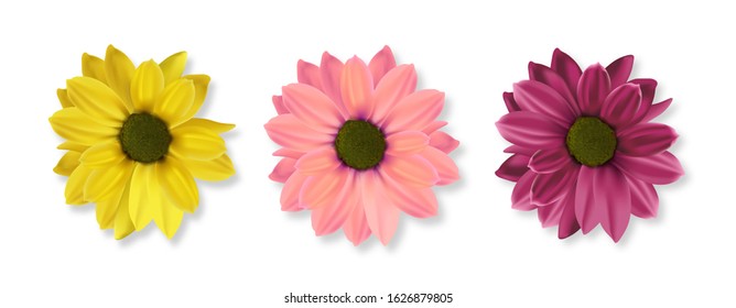 Realistic flowers, hello spring, colored flower set, isolated decoration spring plant, vector illustration 