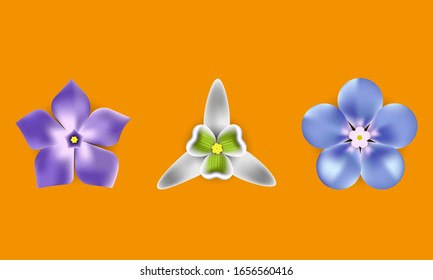 realistische Blumen. Schneetropfen, Winkeln, Vergessen-ich-nicht auf orangefarbenem Hintergrund